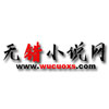 无错小说网